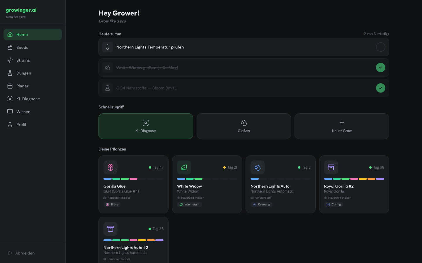 Dashboard